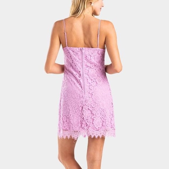 No Ami Lace Shift Dress - Picture 3 of 11